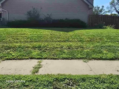 Lawn Care service in Rapid City, 57701