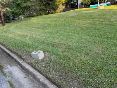 Lawn Care service in Villa Rica, 30180