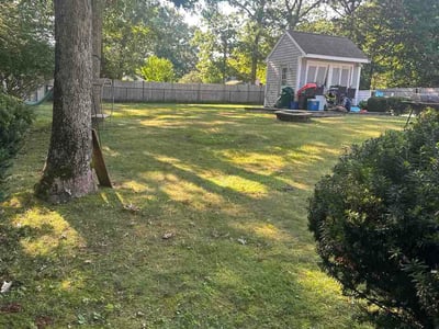 Lawn Care service in Bellingham, 02019