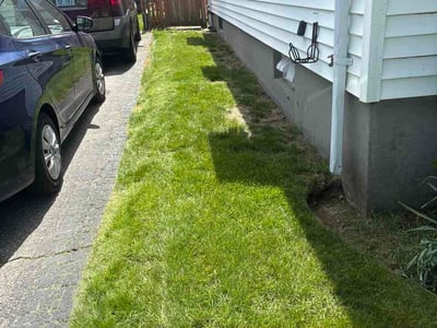 Lawn Care service in Providence, 02903