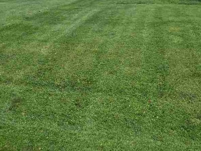 Lawn Care service in Morgantown, 26505