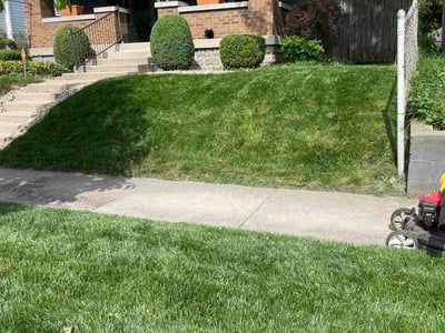 Lawn Care service in Morgantown, 26505