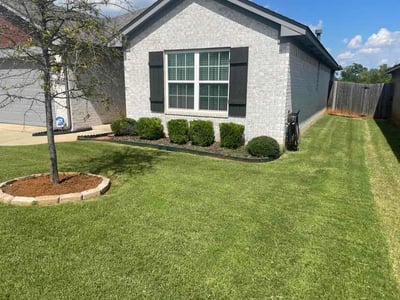 Lawn Care service in Avondale, 85323