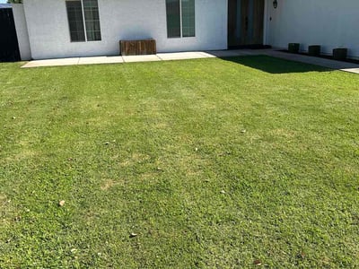 Lawn Care service in Chandler, 85225