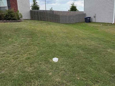 Lawn Care service in Loganville, 30052