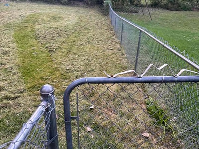 Lawn Care service in Freeport, 11520