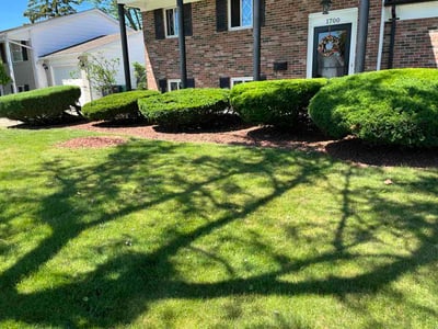 Lawn Care service in Orchard Park, 14127