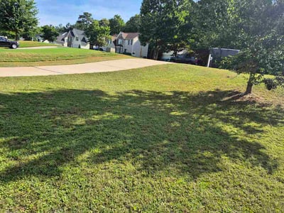 Lawn Care service in Hampton, 30228