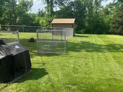 Lawn Care service in Nassau County, 11566