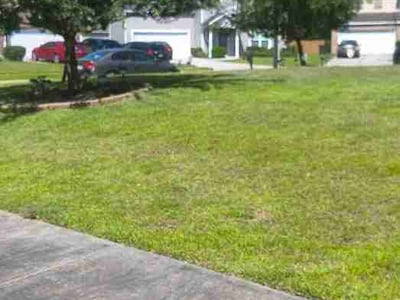 Lawn Care service in Dalton, 30720