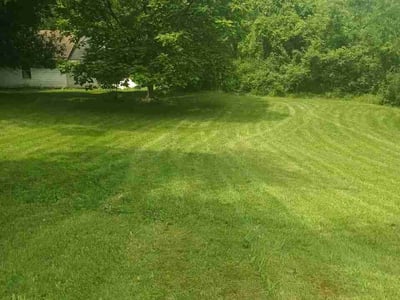 Lawn Care service in Troy, 12180
