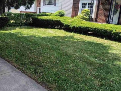 Lawn Care service in Troy, 12180