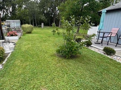 Lawn Care service in West Seneca, 14224