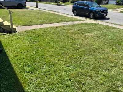Lawn Care service in Sanborn, 14132