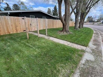 Lawn Care service in Pueblo, 81003