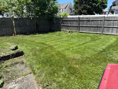 Lawn Care service in Weymouth, 02188