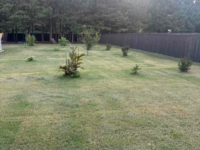 Lawn Care service in Harvest, 35749
