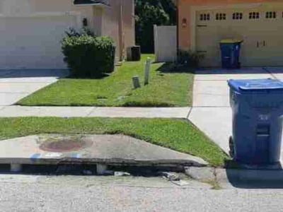 Lawn Care service in Oldsmar, 34677