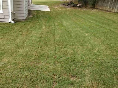 Lawn Care service in Grayson, 30017