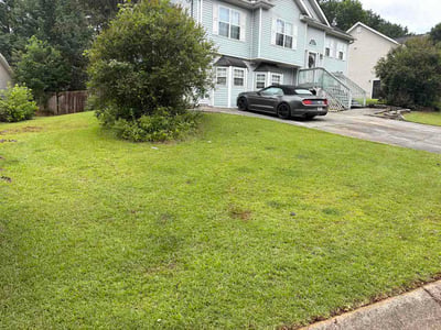 Lawn Care service in Temple, 30179