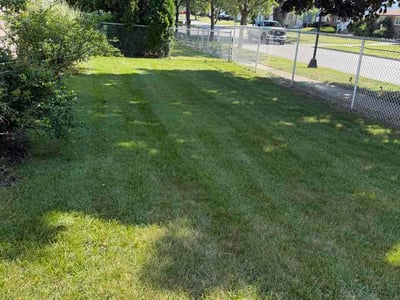 Lawn Care service in Williamsville, 14221