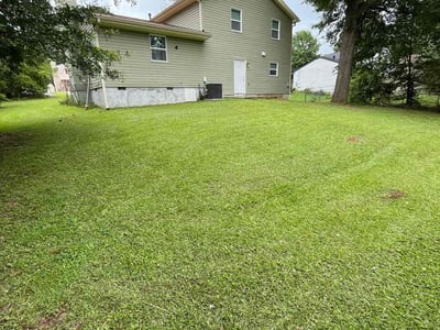 Lawn Care service in Ellenwood, 30294