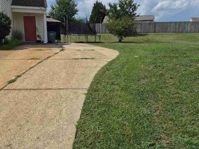 Lawn Care service in Rocky Mount, 27801
