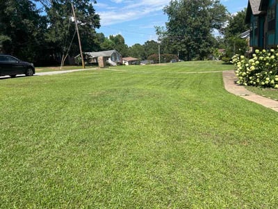 Lawn Care service in Trussville, 35173