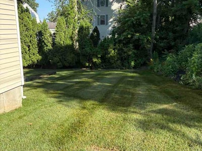 Lawn Care service in Bristol, 02809