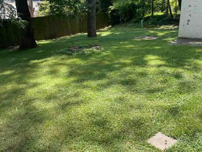 Lawn Care service in Gainesville, 30501