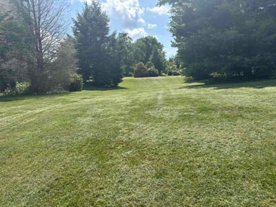 Lawn Care service in Greensburg, 15601