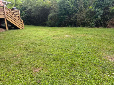 Lawn Care service in Hoover, 35226