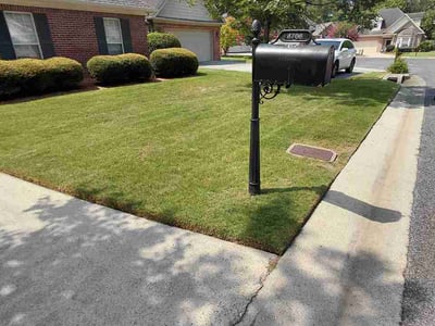 Lawn Care service in Vestavia Hills, 35216