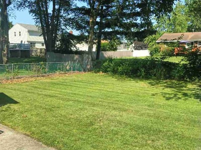 Lawn Care service in Albany, 12207