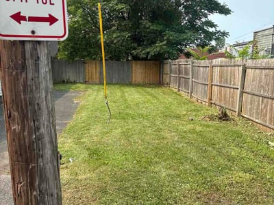 Lawn Care service in Albany, 12207
