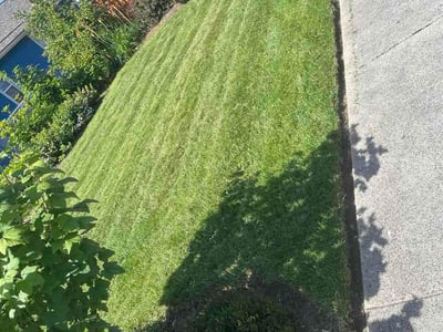 Lawn Care service in Kent, 98032