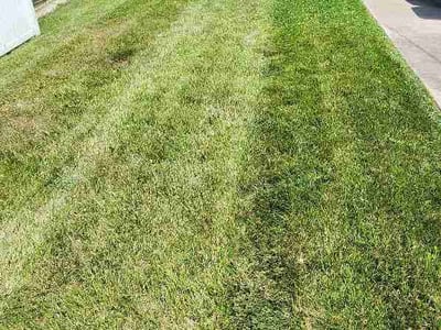 Lawn Care service in West Allis, 53214
