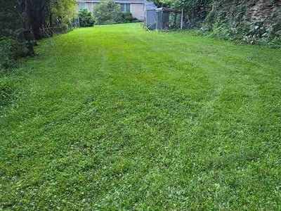 Lawn Care service in Kittanning, 16201