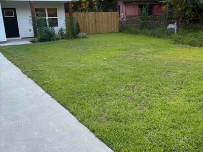 Lawn Care service in Cantonment, 32533