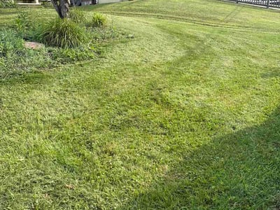 Lawn Care service in Irwin, 15642