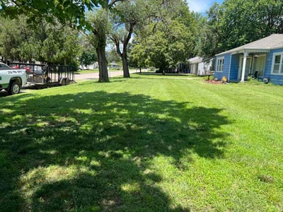 Lawn Care service in New Brunswick, 08901