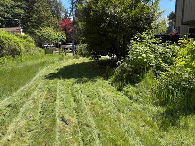 Lawn Care service in Arlington, 98223