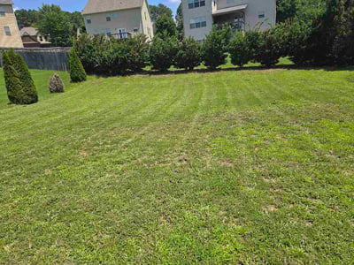 Lawn Care service in Buford, 30518