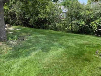 Lawn Care service in Pewaukee, 53072