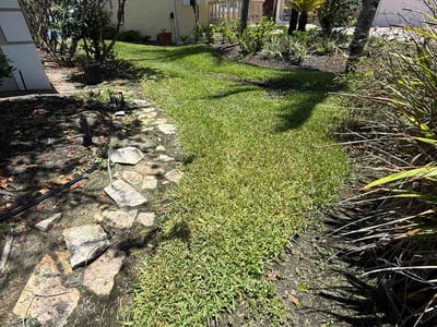 Lawn Care service in Sarasota, 34236