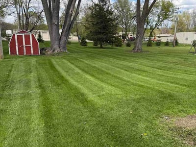 Lawn Care service in Sussex, 53089