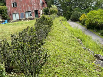 Lawn Care service in Nutley, 07110