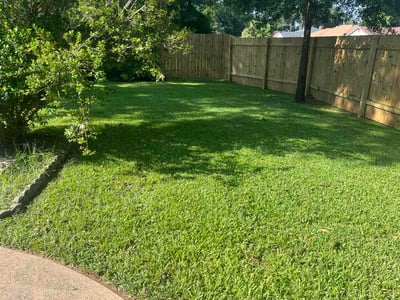 Lawn Care service in Alexandria, 71301