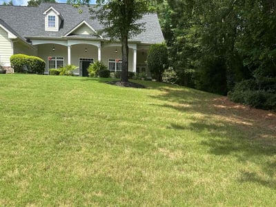 Lawn Care service in Covington, 30014
