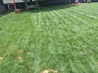Lawn Care service in Janesville, 53545